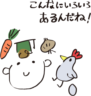 こんなにいろいろあるんだね！