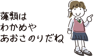 藻類はわかめやあおさのりだね