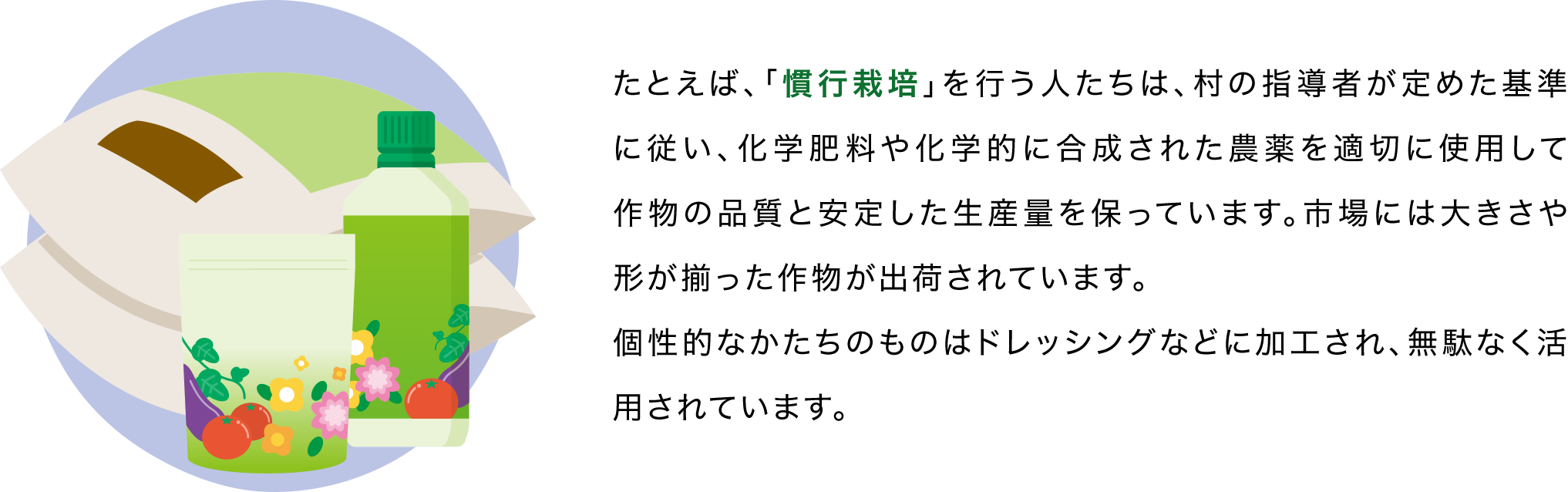 たとえば、「慣行栽培」を行う人たちは、村の指導者が定めた基準に従い、化学肥料や化学的に合成された農薬を適切に使用して作物の品質と安定した生産量を保っています。市場には大きさや形が揃った作物が出荷されています。個性的なかたちのものはドレッシングなどに加工され、無駄なく活用されています。