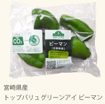 宮崎県産 トップバリュグリーンアイ ピーマン